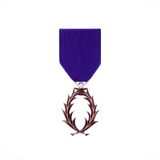Orde van de Academische Palmen (Palmes Académiques)